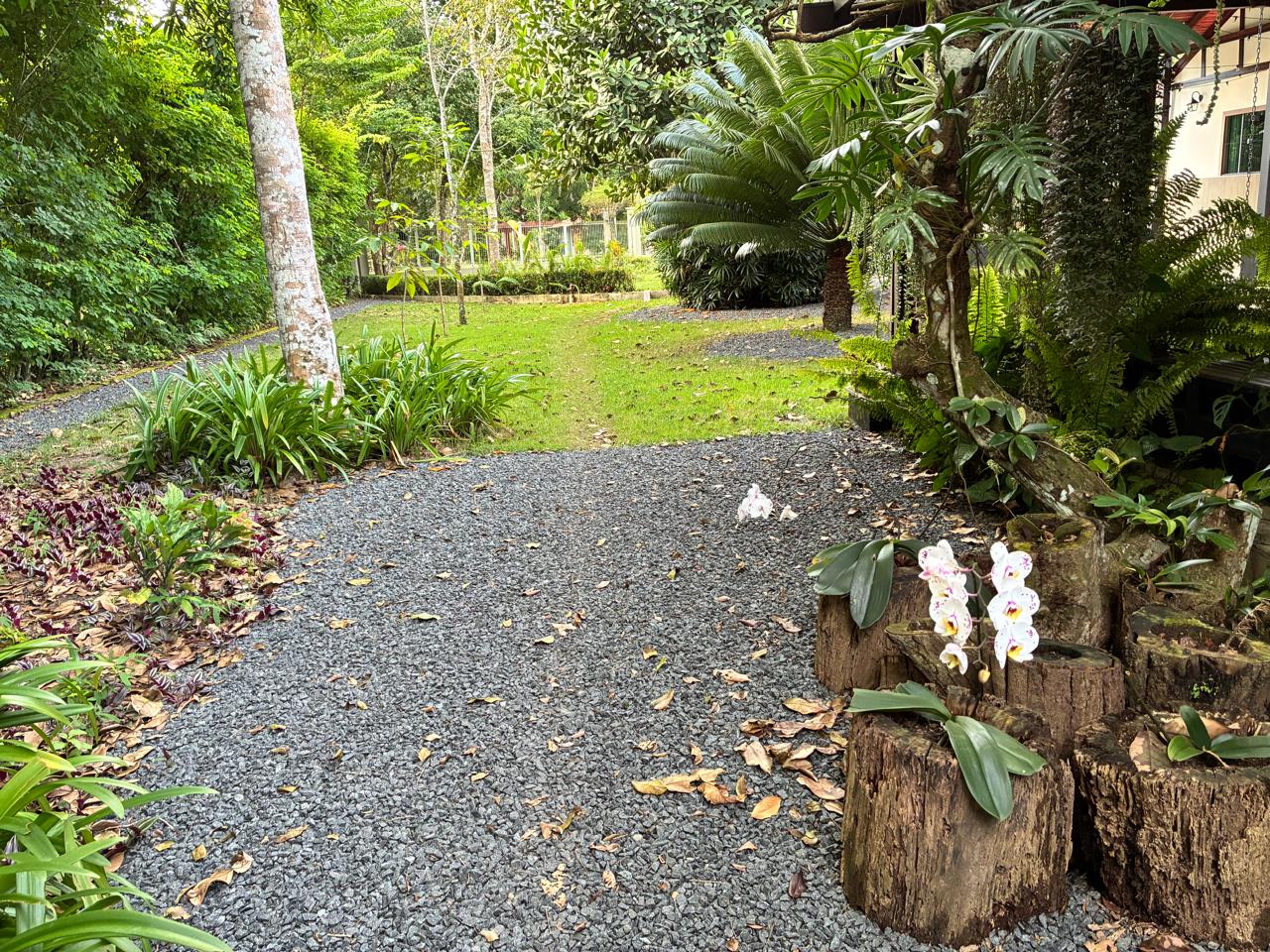 Pérgola do Quintal 21