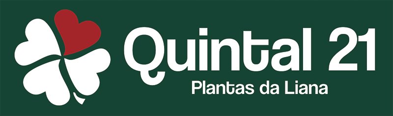 Quintal 21